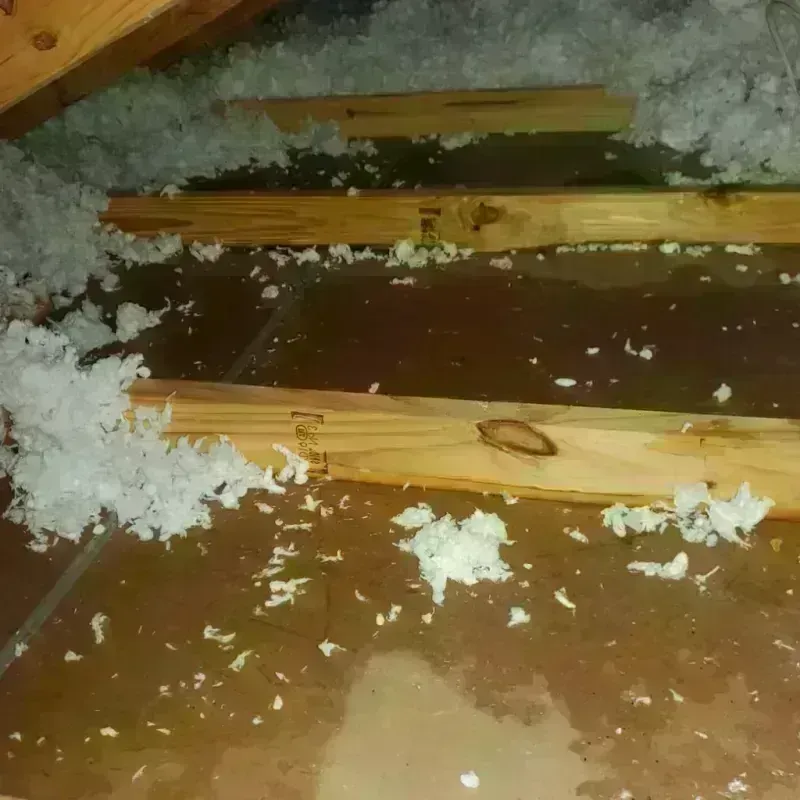 Attic Water Damage in West Mifflin, PA